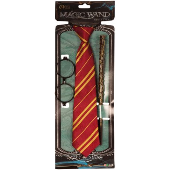 Accessoires de sorcier Harry Potter pour se déguiser à Halloween