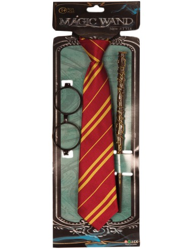 Accessoires de sorcier Harry Potter pour se déguiser à Halloween