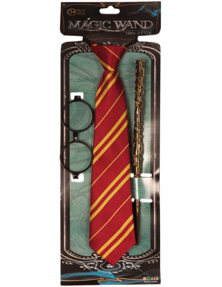 Accessoires de sorcier Harry Potter pour se déguiser à Halloween