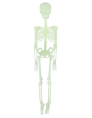 Suspension squelette articulé phosphorescent