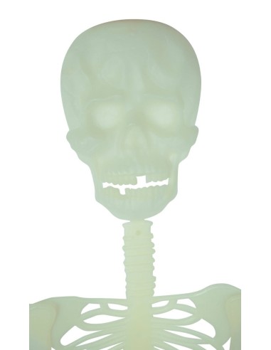 Suspension squelette articulé phosphorescent