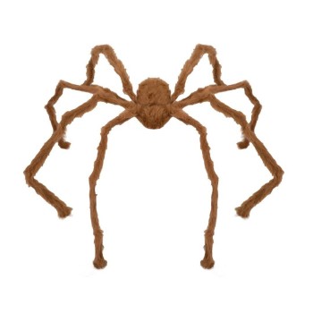Araignée géante marron