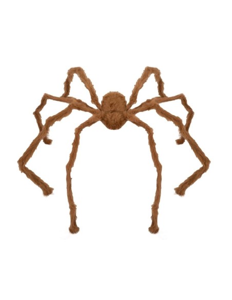 Araignée géante marron