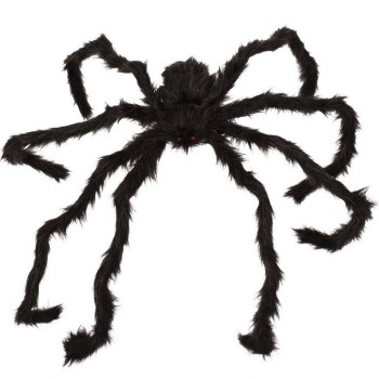 Araignée géante noire marron