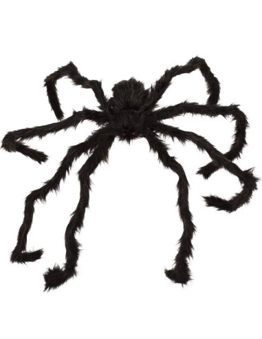 Araignée géante noire marron