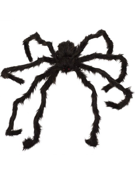 Araignée géante noire marron