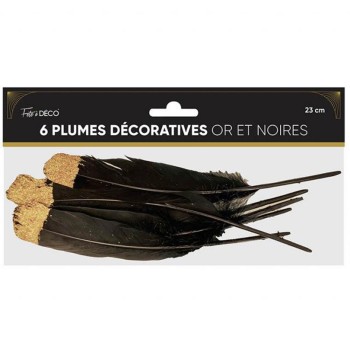 6 plumes noires et dorées art déco