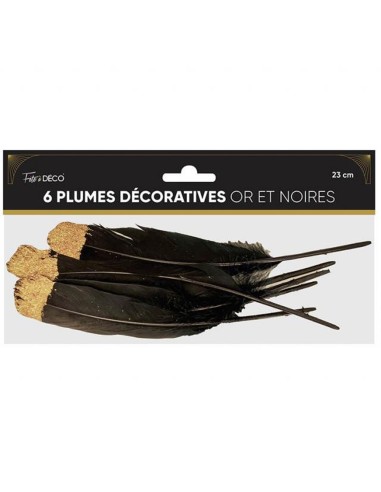 6 plumes noires et dorées art déco