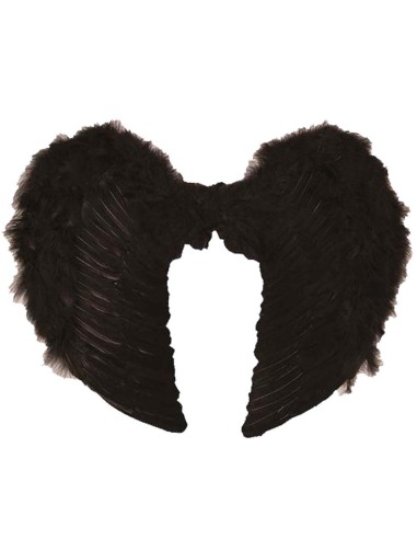 Grandes ailes plumes noires