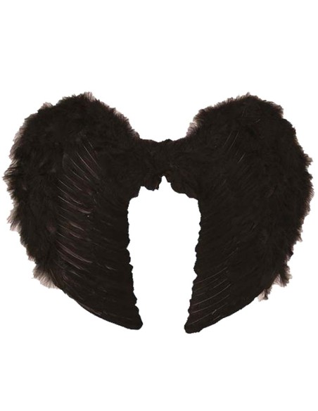 Grandes ailes plumes noires