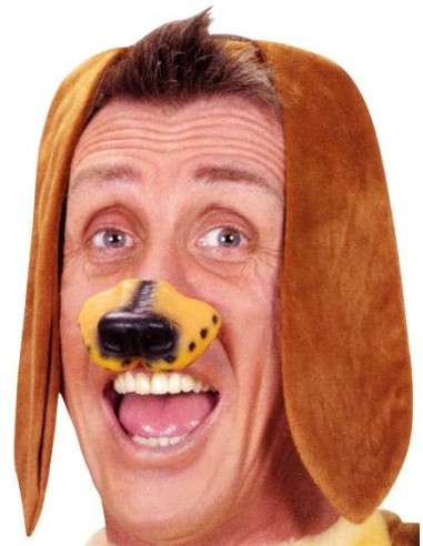 Truffe de chien