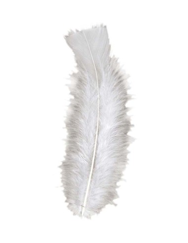 Sachet de 50 plumes blanches