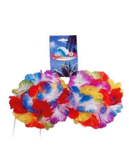Hawaï bikini avec fleurs