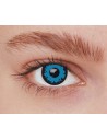 Lentilles loup bleu