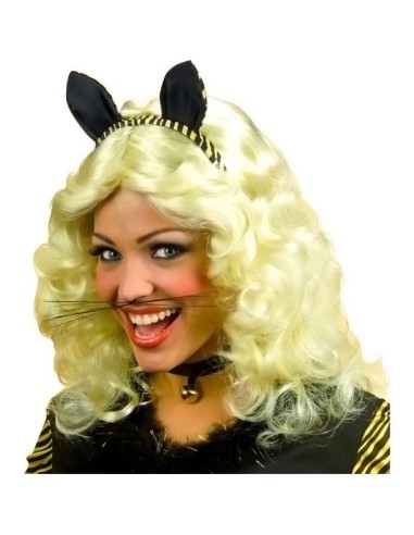 Moustaches de chat noires