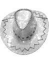 Chapeau cow-boy paillettes brillantes