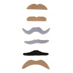 6 moustaches formes et...