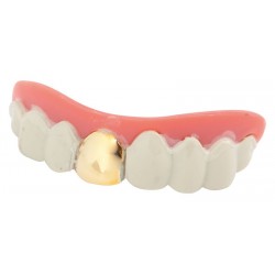 Dentier dent en or avec pâte